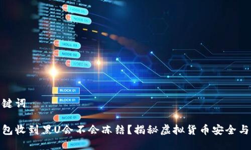和关键词

冷钱包收到黑U会不会冻结？揭秘虚拟货币安全与风控