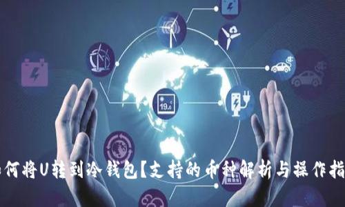 如何将U转到冷钱包？支持的币种解析与操作指南