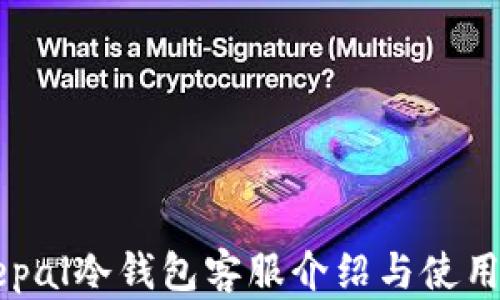 
Safepal冷钱包客服介绍与使用攻略