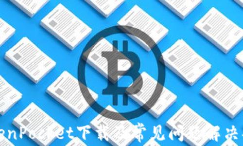 
TokenPocket下载及常见问题解决指南