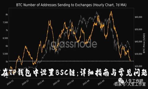 如何在TP钱包中设置BSC链：详细指南与常见问题解答
