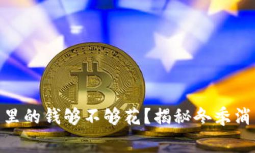 : 温度有多冷钱包里的钱够不够花？揭秘冬季消费心理与理财策略