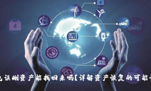 : TP钱包误删资产能找回来吗？详解资产恢复的可能性与方法