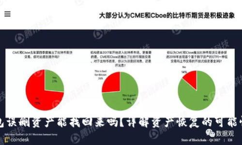: TP钱包误删资产能找回来吗？详解资产恢复的可能性与方法