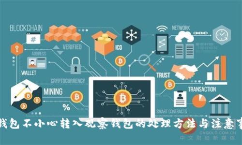 TP钱包不小心转入观察钱包的处理方法与注意事项