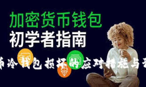 数字货币冷钱包损坏的应对措施与预防指南