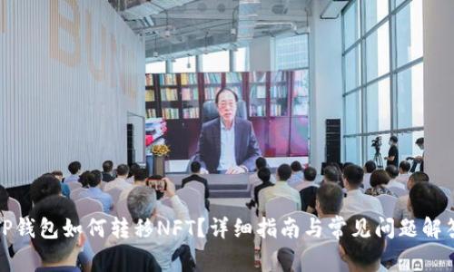 TP钱包如何转移NFT？详细指南与常见问题解答