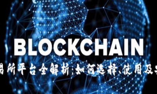 虚拟币交易所平台全解析：如何选择、使用及安全性指南