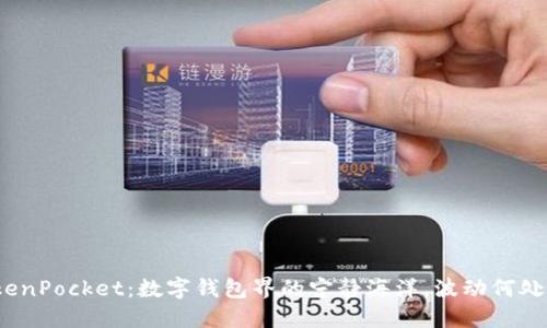 TokenPocket：数字钱包界的宁静海洋，波动何处觅？
