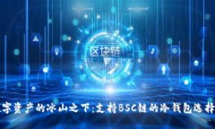 在数字资产的冰山之下：
