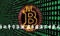 狗狗币的牛市狂潮：在币