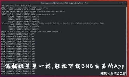 像捕捉星星一样，轻松下载BNB交易所App