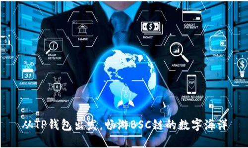 从TP钱包出发，畅游BSC链的数字海洋