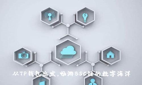 从TP钱包出发，畅游BSC链的数字海洋