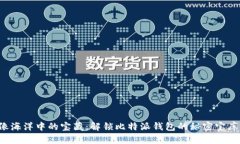 像海洋中的宝藏：解锁比