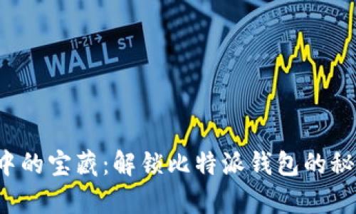 像海洋中的宝藏：解锁比特派钱包的秘密宝库！