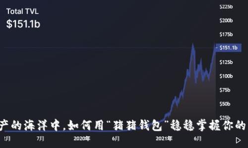 在数字资产的海洋中，如何用“猪猪钱包”稳稳掌握你的“财运”呢？