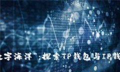 从“口袋”到“数字海洋