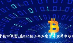 掌握TP钱包：在BSC链上的加