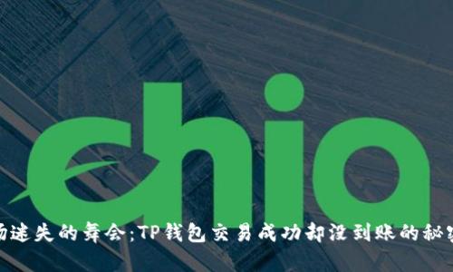 像一场迷失的舞会：TP钱包交易成功却没到账的秘密探险