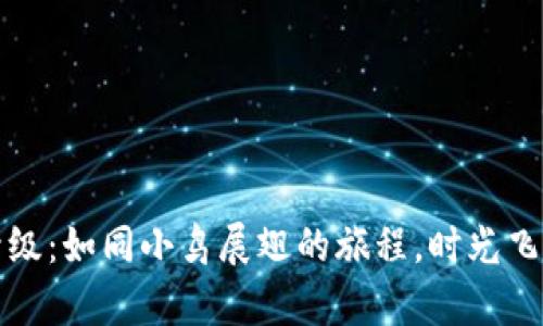 冷钱包网络升级：如同小鸟展翅的旅程，时光飞逝又稳步前行