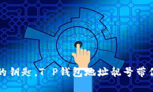 如同寻找完美的钥匙，T P钱包地址靓号带你开启财富大门