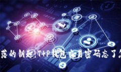 像找失落的钥匙：T P钱包