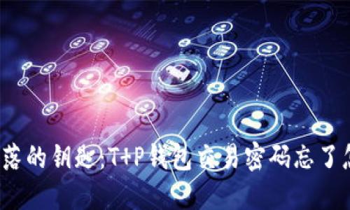 像找失落的钥匙：T P钱包交易密码忘了怎么办？