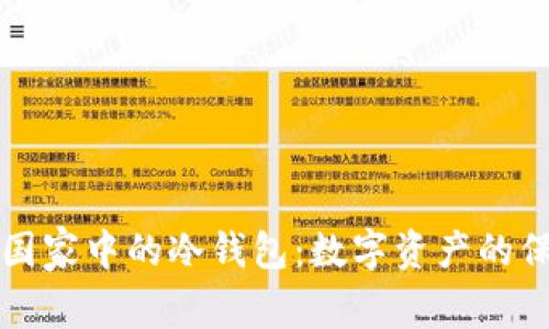 欧美国家中的冷钱包：数字资产的保险箱