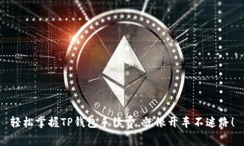 轻松掌握TP钱包手续费，就像开车不迷路！