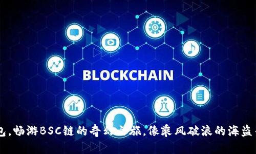 用TP钱包，畅游BSC链的奇幻之旅，像乘风破浪的海盗寻找宝藏