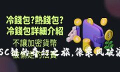 用TP钱包，畅游BSC链的奇幻
