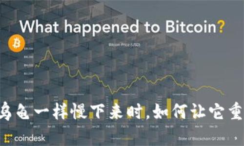 当你的TP钱包像小乌龟一样慢下来时，如何让它重回昂首阔步的状态？