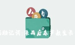 冷钱包密码助记词：像雨