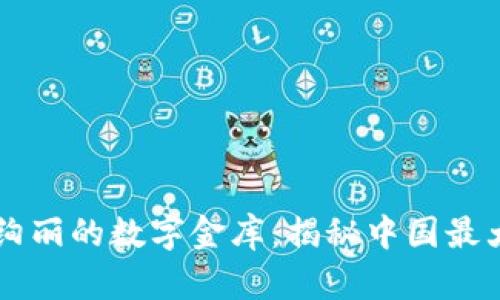 如梦幻泡影般绚丽的数字金库：揭秘中国最大的虚拟币平台