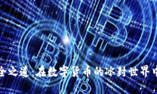 冷钱包的安全之道：在数字货币的冰封世界中寻觅守护者