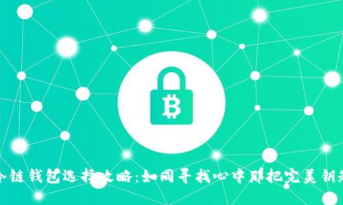 冷链钱包选择攻略：如同寻找心中那把完美钥匙
