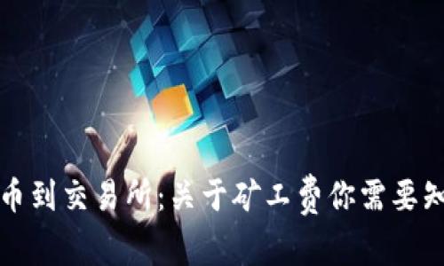 TP钱包提币到交易所：关于矿工费你需要知道的一切