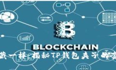 像捉迷藏一样：揭秘TP钱包