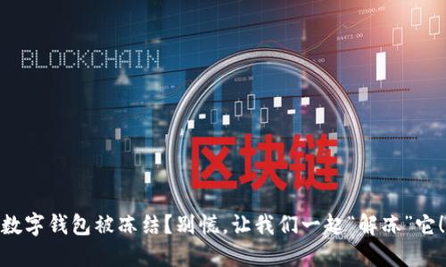 数字钱包被冻结？别慌，让我们一起“解冻”它！
