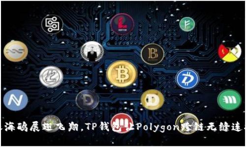 像海鸥展翅飞翔，TP钱包让Polygon跨链无缝连接