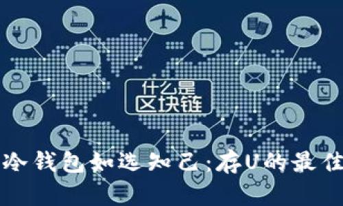 “选择冷钱包如选知己：存U的最佳伴侣”