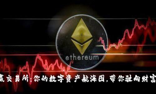 “币赢交易所：你的数字资产航海图，带你驶向财富岛！”