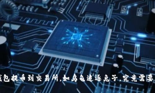  TP钱包提币到交易所，如乌龟追逐兔子，究竟需要多久？
