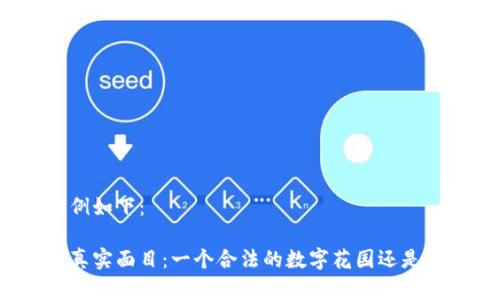 和关键词示例如下：

数字钱包的真实面目：一个合法的数字花园还是虚拟的泥潭？