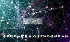 中本聪的秘密花园：探索