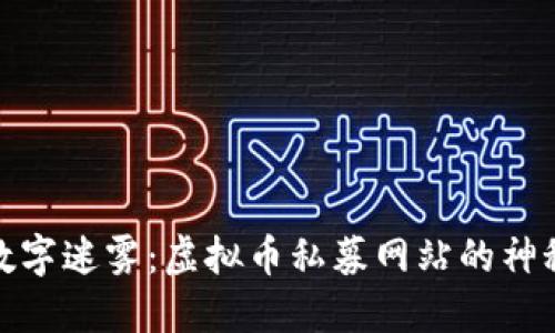 穿越数字迷雾：虚拟币私募网站的神秘探险