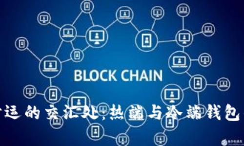 在温度与财运的交汇处：热端与冷端钱包的奇妙旅程