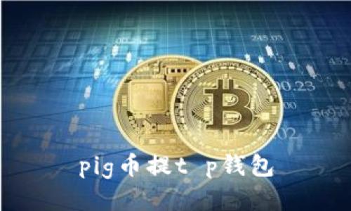 pig币提t p钱包