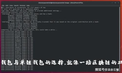 多链钱包与单链钱包的选择，就像一场区块链的双城记